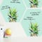 RoomMates Pineapple Crown Dry Erase Hexagon Peel & Stick Decals